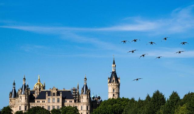 A flock of ducks flies over the Schwerin Palace on August 14, in Schwerin, northern Germany. The palace, built in the 19th Century to replace an earlier castle, houses the state parliament of the state of Mecklenburg-West Pomerania since the 1990s. (Photo by John MACDOUGALL / AFP)