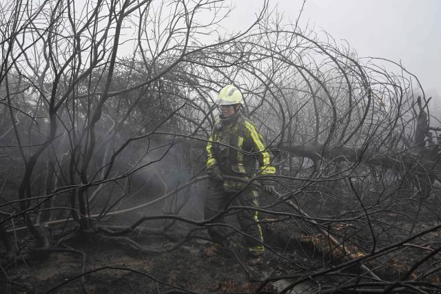 A firefighter takes part in operations against a wildfire at the Hautes Fagnes (High Fens) nature reserve near Waimes, eastern Belgium, on August 18, 2026. Rain started falling in Belgium on August 17, 2026 to help its fight against the country's biggest modern-day wildfire that has devastated some 3,000 hectares (7,500 acres) of the High Fens park on the border with Germany. Some 500 firefighters and troops are battling the blaze that has sent a huge cloud of black smoke across the region into neighbouring Germany and France. Scientists have long warned that climate change caused by human use of fossil fuels will make periods of drought more intense and longer-lasting, creating the ideal conditions for wildfires. (Photo by JOHN THYS / AFP)