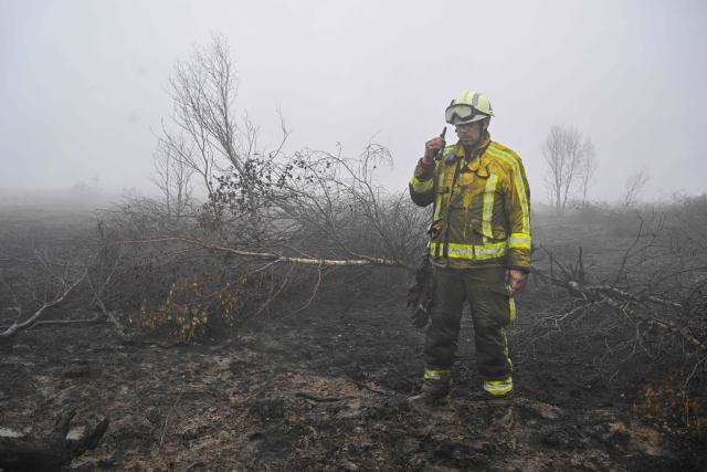 A firefighter takes part in operations against a wildfire at the Hautes Fagnes (High Fens) nature reserve near Waimes, eastern Belgium, on August 18, 2026. Rain started falling in Belgium on August 17, 2026 to help its fight against the country's biggest modern-day wildfire that has devastated some 3,000 hectares (7,500 acres) of the High Fens park on the border with Germany. Some 500 firefighters and troops are battling the blaze that has sent a huge cloud of black smoke across the region into neighbouring Germany and France. Scientists have long warned that climate change caused by human use of fossil fuels will make periods of drought more intense and longer-lasting, creating the ideal conditions for wildfires. (Photo by JOHN THYS / AFP)