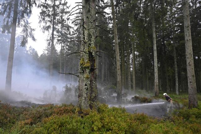 A firefighter sprays water from a hose during operations against a wildfire at the Hautes Fagnes (High Fens) nature reserve near Baelen, on August 18, 2026. Rain started falling in Belgium on August 17, 2026 to help its fight against the country's biggest modern-day wildfire that has devastated some 3,000 hectares (7,500 acres) of the High Fens park on the border with Germany. Some 500 firefighters and troops are battling the blaze that has sent a huge cloud of black smoke across the region into neighbouring Germany and France. Scientists have long warned that climate change caused by human use of fossil fuels will make periods of drought more intense and longer-lasting, creating the ideal conditions for wildfires. (Photo by JOHN THYS / AFP)