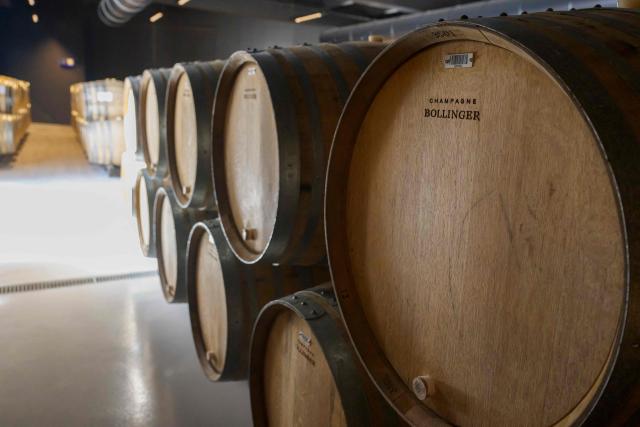This photograph shows oak barrels in the wine cellar during the grape harvest at the Bollinger Champagne House’s vineyard in Ay, northeastern France, on August 18, 2026. (Photo by Jean-Christophe VERHAEGEN / AFP)