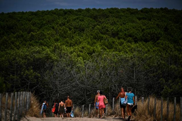 Visitors walk past burnt trees as they leave the Grand Crohot beach in Lege-Cap-Ferret along the Atlantic Ocean, south-western France on August 19, 2026, two days after it reopened following its closure in the wake of the wildfire which swept through the Gironde region in late July. (Photo by Christophe ARCHAMBAULT / AFP)