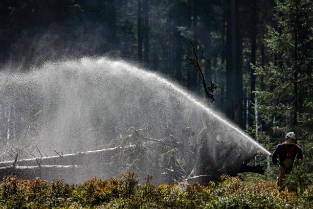 A firefighter sprays water to wet the soil during operations to contain a wildfire at the Hautes Fagnes (High Fens) nature reserve on August 20, 2026. (Photo by JULIEN WARNAND / Belga / AFP) / Belgium OUT