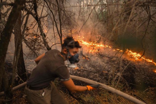 A local resident battles a forest wildfire in Deliblatska Pescara (Deliblato Sands), near the village of Grebenac, some 70 kilometres northeast of Belgrade on August 20, 2026. Firefighters were battling wildfires across the Balkans as days of high temperatures and drought conditions continue to drive blazes in several countries, including Serbia. Scientists have long warned that climate change caused by human use of fossil fuels will make periods of drought more intense and longer-lasting, creating the ideal conditions for wildfires. (Photo by Uros Arsic / AFP)