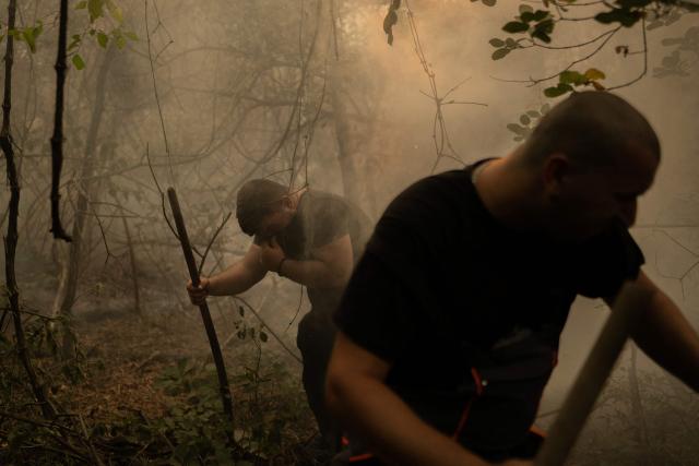 Local residents battle a forest wildfire in Deliblatska Pescara (Deliblato Sands), near the village of Grebenac, some 70 kilometres northeast of Belgrade on August 20, 2026. Firefighters were battling wildfires across the Balkans as days of high temperatures and drought conditions continue to drive blazes in several countries, including Serbia. Scientists have long warned that climate change caused by human use of fossil fuels will make periods of drought more intense and longer-lasting, creating the ideal conditions for wildfires. (Photo by Uros Arsic / AFP)