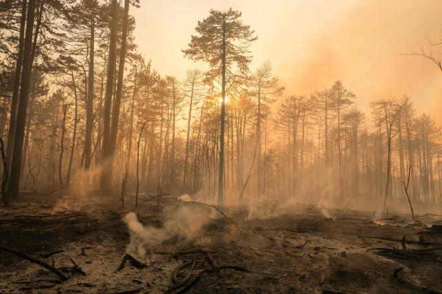 This photograph shows a charred forest with smoke rising in Deliblatska Pescara (Deliblato Sands), near the village of Grebenac, some 70 kilometres northeast of Belgrade on August 20, 2026, after a wildfire swept through the area. Firefighters were battling wildfires across the Balkans as days of high temperatures and drought conditions continue to drive blazes in several countries, including Serbia. Scientists have long warned that climate change caused by human use of fossil fuels will make periods of drought more intense and longer-lasting, creating the ideal conditions for wildfires. (Photo by Uros Arsic / AFP)
