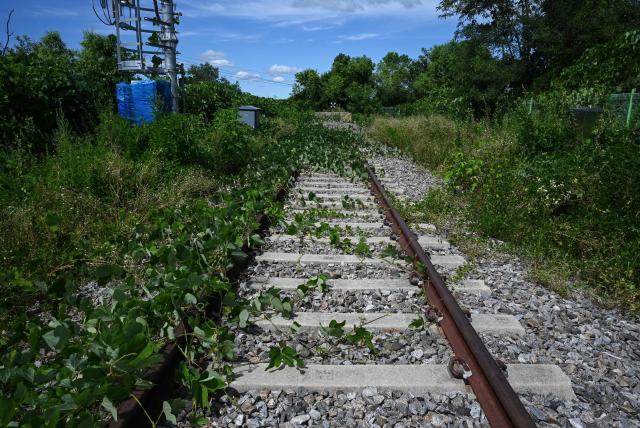 Train tracks are seen at the Baengmagoji Station in Cheorwon, Gangwon Province in South Korea, near the demilitarized zone separating North and South Korea on August 10, 2026. Plans to reconnect South Korea's northernmost station to the rail network come at an awkward moment, as Pyongyang ignores Seoul's overtures while the South's old ally Washington pursues its own talks with Pyongyang. (Photo by GREG BAKER / AFP) / To go with 'Skorea-Nkorea-US-Diplomacy-Politics' Focus by Jihye SHIN