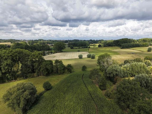 This photograph shows trees and crops in a field in Lierde on August 21, 2026. (Photo by NICOLAS MAETERLINCK / Belga / AFP) / Belgium OUT