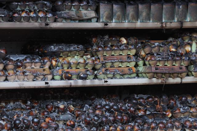 This photograph shows burned products at a shopping mall damaged following a Russian strike in Kryvyi Rih, on August 22, 2026, amid the Russian invasion of Ukraine. Russian drones slammed into a busy shopping centre in eastern Ukraine on August 21, killing 16 people in an attack condemned as "cynical and despicable" by Ukraine's President Volodymyr Zelensky. (Photo by Yan Dobronosov / AFP)