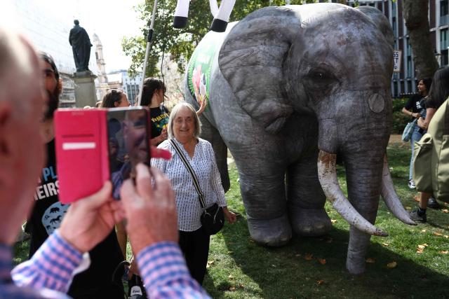 Protesters gather in Hanover Square with props to take part in a National Animal Rights March in central London on August 22, 2026 (Photo by Toby Shepheard / AFP)