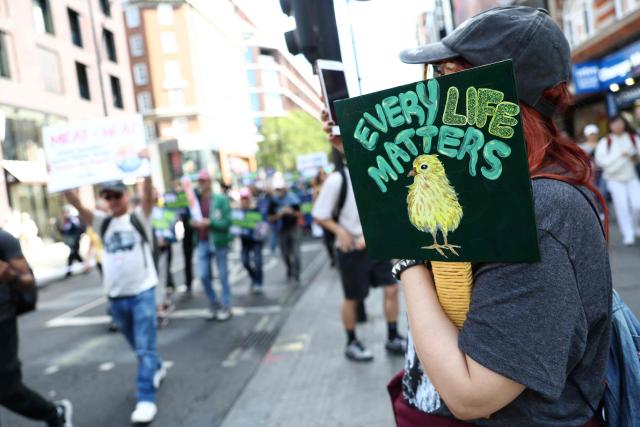 Protesters holding placards take part in a National Animal Rights March in central London on August 22, 2026 (Photo by Toby Shepheard / AFP)