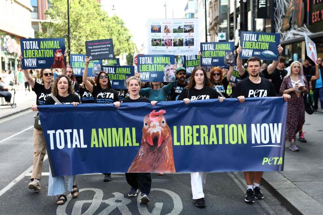 Protesters holding placards take part in a National Animal Rights March in central London on August 22, 2026 (Photo by Toby Shepheard / AFP)
