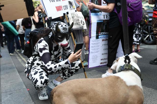 A protester in costume takes a photo of a real animal during a National Animal Rights March in central London on August 22, 2026 (Photo by Toby Shepheard / AFP)