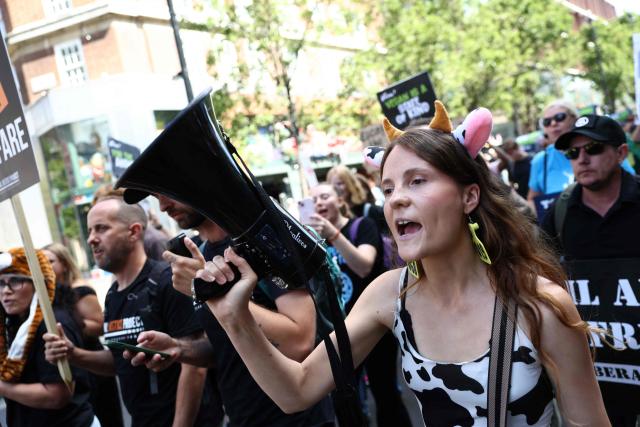 Protesters holding placards take part in a National Animal Rights March in central London on August 22, 2026 (Photo by Toby Shepheard / AFP)