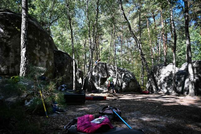 Visitors climb in the Fontainebleau forest, near Arbonne-la-Foret, in the Paris Ile-de-France region on August 22, 2026, on the day of the reopening to the public of 80% of the massif after being partially ravaged by a historic fire in July. The trails of the Fontainebleau Forest, partially devastated by a historic fire in July, reopen to the public. Among the sites once again accessible are some world-renowned bouldering areas, such as Franchard Isatis. The wildfire affected 10 percent (nearly 2,000 hectares) of the Fontainebleau forest, located 60 km southeast of Paris, highly popular with hikers and rock climbers, and designated a UNESCO biosphere reserve. (Photo by Lou BENOIST / AFP)