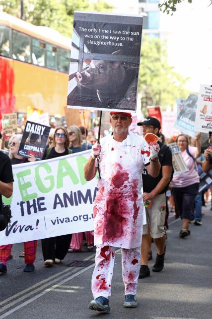 Protesters holding placards take part in a National Animal Rights March in central London on August 22, 2026 (Photo by Toby Shepheard / AFP)