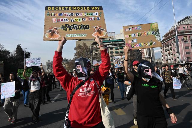 Demonstrators take part in a national march against environmental setbacks and for animals in Santiago on August 22, 2026, rejecting the government's environmental mega-reform and calling for the protection of ecosystems, Patagonia and native wildlife. (Photo by RODRIGO ARANGUA / AFP)