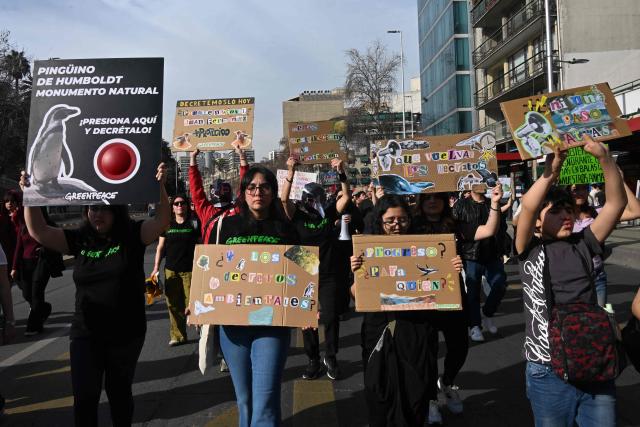 Demonstrators take part in a national march against environmental setbacks and for animals in Santiago on August 22, 2026, rejecting the government's environmental mega-reform and calling for the protection of ecosystems, Patagonia and native wildlife. (Photo by RODRIGO ARANGUA / AFP)