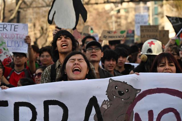 Demonstrators take part in a national march against environmental setbacks and for animals in Santiago on August 22, 2026, rejecting the government's environmental mega-reform and calling for the protection of ecosystems, Patagonia and native wildlife. (Photo by RODRIGO ARANGUA / AFP)