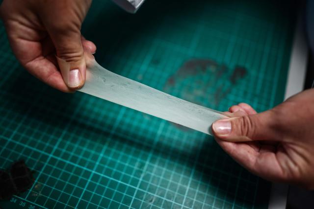 Bioloon CEO Charlotte Melia holds a sample of biodegradable rubber at a laboratory at Imperial College in London, on August 19, 2026. A symbol of celebration but an ecological nightmare, the party balloon is undergoing a green revolution: researchers in London claim to have developed the first fully biodegradable model, which they plan to bring to market within two years. (Photo by HENRY NICHOLLS / AFP) / TO GO WITH STORY by Alexandra DEL PERAL