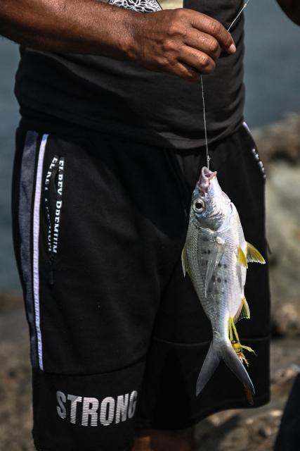 A fisherman handles a freshly caught fish at La Guaira Port, Venezuela on August 22, 2026. The Venezuelan Parliament announced an investigation into opposition lawmaker Antonio Ecarri on August 22, 2026, and removed him from his legislative post after he proposed dollarizing the economy with the advice of US economist Steve Hanke. (Photo by Juan BARRETO / AFP)