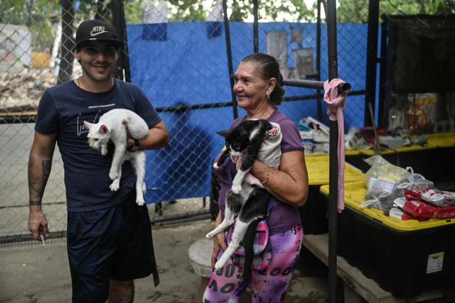 People carry cats rescued from destroyed buildings after the 7.2 and 7.5 earthquakes in the Mision Nevado temporary shelter in La Guaira, Venezuela on August 22, 2026. Venezuela was struck by two 7.2 and 7.5 earthquakes on June 24, 2026, which have left at least 6,438 people dead. Nearly two months later, pets rescued from the rubble after the twin earthquakes remain in temporary shelters, waiting to be reunited with their former owners or their new adoptive families. (Photo by Juan BARRETO / AFP)