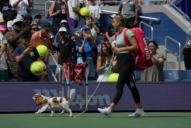 World number One Aryna Sabalenka walks onto the court with her dog Ash for a practice session during Arthur Ashe Kids' Day on August 23, 2026  as part of US Open Fan Week events at the USTA Billie Jean King National Tennis Center in New York. (Photo by TIMOTHY A. CLARY / AFP)