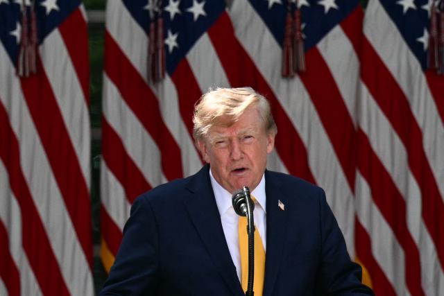 US President Donald Trump speaks in the Rose Garden of the White House in Washington, DC, on August 24, 2026. (Photo by Jim WATSON / AFP)