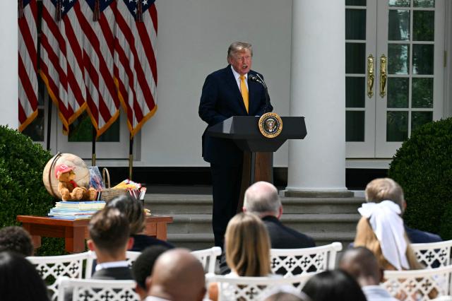 US President Donald Trump speaks in the Rose Garden of the White House in Washington, DC, on August 24, 2026. (Photo by Jim WATSON / AFP)