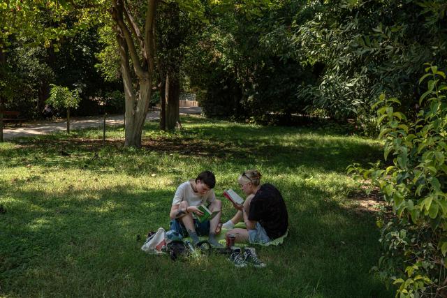 People read books in the shade at the National Garden in central Athens on August 25, 2026. (Photo by Angelos TZORTZINIS / AFP)