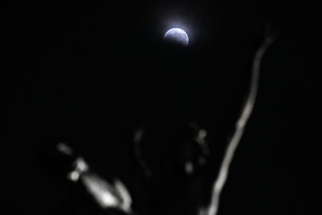 The moon enters the Earth's umbra during a partial lunar eclipse over a statue at the Palace of Fine Arts in Mexico City on August 27, 2026. (Photo by Yuri CORTEZ / AFP)