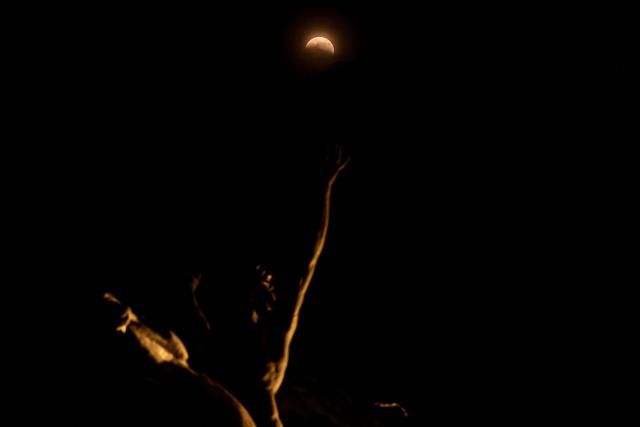 The moon turns red during a partial lunar eclipse over a statue at the Palace of Fine Arts in Mexico City on August 27, 2026. (Photo by Yuri CORTEZ / AFP)