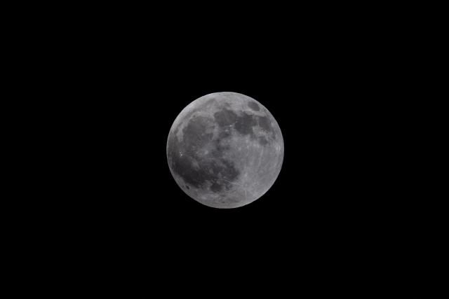 A full Moon is seen before a partial lunar eclipse over Brazos Bend State Park in Needville, Texas on August 27, 2026. (Photo by RONALDO SCHEMIDT / AFP)