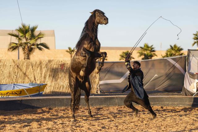 A ringmaster directs a horse during a show for the audience at the Karacena International Biennial of Circus Arts and Travel in Sale on August 28, 2026. Karacena 2026, organised by AMESIP (Moroccan Association for Assistance to Children in Vulnerable Situations) in partnership with the Shems’y National Circus School, brings together Moroccan and international artists through contemporary circus, dance, music, street arts, and equestrian arts. (Photo by Abdelmajid BZIOUAT / AFP)