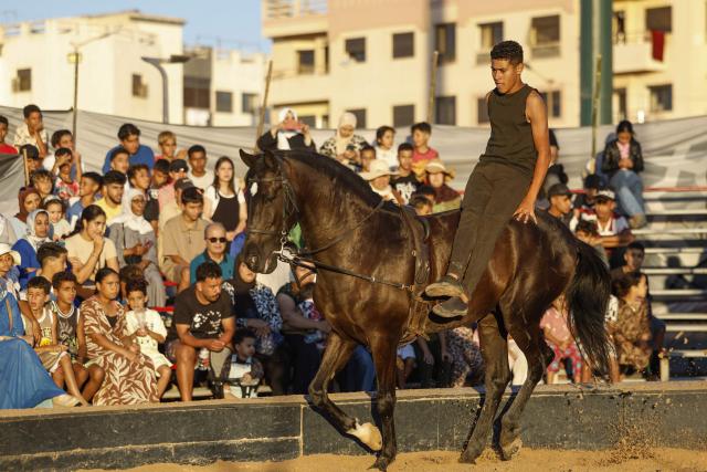 A trick rider performs acrobatic stunts for the audience during the Karacena International Biennial of Circus Arts and Travel in Sale on August 28, 2026. Karacena 2026, organised by AMESIP (Moroccan Association for Assistance to Children in Vulnerable Situations) in partnership with the Shems’y National Circus School, brings together Moroccan and international artists through contemporary circus, dance, music, street arts, and equestrian arts. (Photo by Abdelmajid BZIOUAT / AFP)