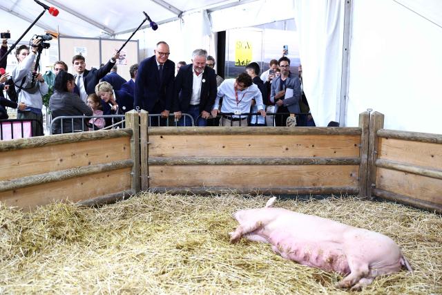 Candidate for France’s 2027 presidential election for the right-wing Horizons party and Mayor of Le Havre Edouard Philippe visits the agricultural fair in Chвlons-en-Champagne, northeastern France on August 31, 2026. (Photo by Sameer AL-DOUMY / AFP)
