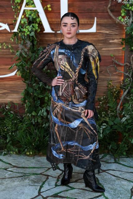 English actress Maisie Williams attends the US premiere of "Practical Magic 2" at Directors Village theatre in Los Angeles, on August 31, 2026. (Photo by VALERIE MACON / AFP)