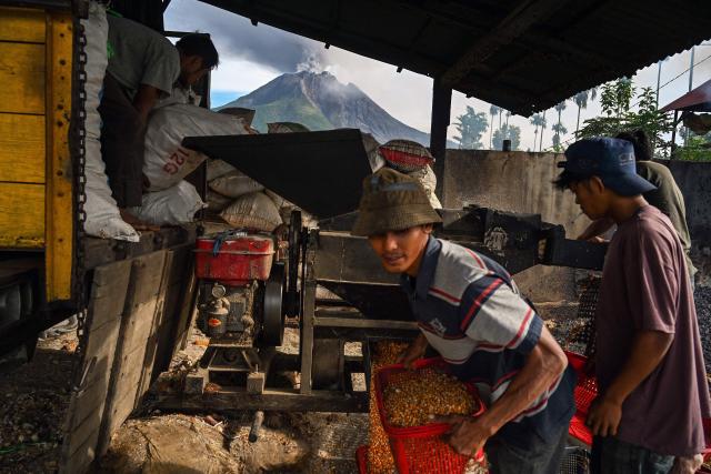 Farmers work in front of Mount Sinabung spewing ash and thick smoke as seen from Karo, North Sumatra province early on September 2, 2026. (Photo by Yt HARYONO / AFP)