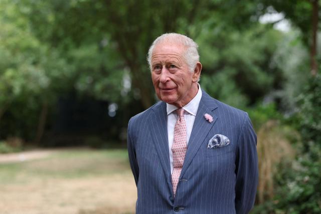 Britain's King Charles reacts as he attends the 125th anniversary Garden Party for, the Victoria League for Commonwealth Friendship, in west London, on September 2, 2026. (Photo by Toby Melville / POOL / AFP)