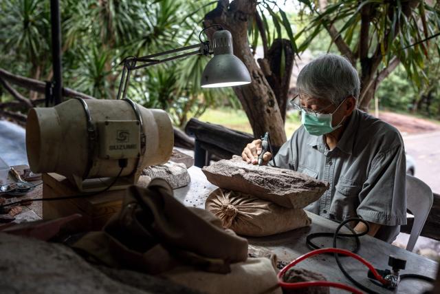 Palaeontologist Varavudh Suteethorn uses a pneumatic pen to excavate a dinosaur fossil at Phu Wiang National Park in Khon Kaen on August 19, 2026. Researchers have found a trove of dinosaur fossils in Khon Kaeon province, which holds the country's richest deposits, offering insight into the creatures that roamed the planet millions of years ago. (Photo by Chanakarn LAOSARAKHAM / AFP) / To go with AFP story Thailand-dinosaur-science, FOCUS by Montira RUNGJIRAJITTRANON