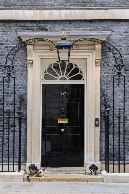 'Larry the cat' sits outside 10 Downing Street ahead of the arrival of France's President Emmanuel Macron in central London on September 3, 2026. (Photo by Ludovic MARIN / AFP)