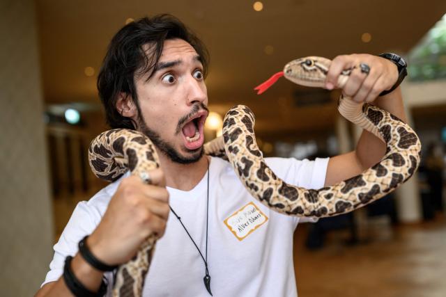 Brazilian biologist Joao Miguel Alves-Nunes poses with a fake snake ahead of the 2026 Ig Nobel Prize Ceremony in Zurich, on September 3, 2026. Joao Miguel Alves-Nunes was awarded with his team with the Ig Nobel in biology "for gently stepping on various parts of various venomous snakes — repeatedly, at various temperatures at various times of day — to try to learn what does and what does not induce a venomous snake to bite a human. The Ig Nobel Prize is a parody of the Nobel Prize, which is awarded every autumn to celebrate ten unusual or trivial achievements in scientific research. (Photo by Fabrice COFFRINI / AFP)