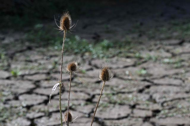 This picture shows a dry water stream in Machecoul, western France, on September 3, 2026. After a summer marked by record-breaking heat waves, wildfires, and drought, the government announced on September 4, 2026 one billion euros in emergency aid to support France’s hard-hit agricultural sector. (Photo by Loic VENANCE / AFP)