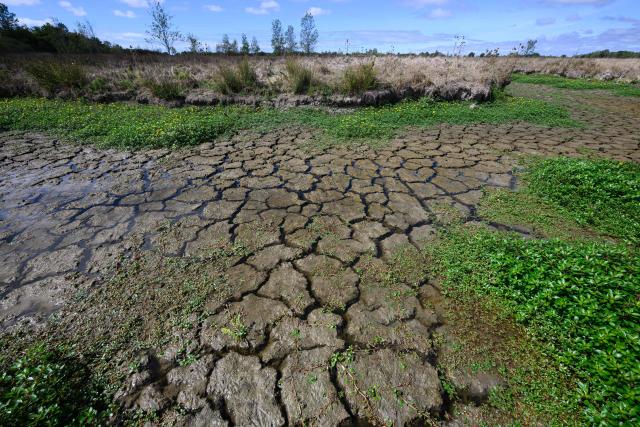 This picture shows a dry water stream in Machecoul, western France, on September 3, 2026. After a summer marked by record-breaking heat waves, wildfires, and drought, the government announced on September 4, 2026 one billion euros in emergency aid to support France’s hard-hit agricultural sector. (Photo by Loic VENANCE / AFP)