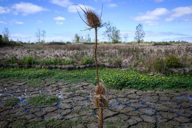 This picture shows a dry water stream following the summer's heatwaves, in Machecoul, western France, on September 3, 2026. After a summer marked by record-breaking heat waves, wildfires, and drought, the government announced on September 4, 2026 one billion euros in emergency aid to support France’s hard-hit agricultural sector. (Photo by Loic VENANCE / AFP)
