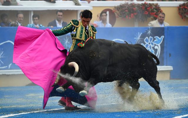 Peruvian matador Pedro Luis performs a pass on a Zacarias Moreno bull at Marcel Dangou arena, in Bayonne, southwestern France, on September 4, 2026. (Photo by Gaizka IROZ / AFP)