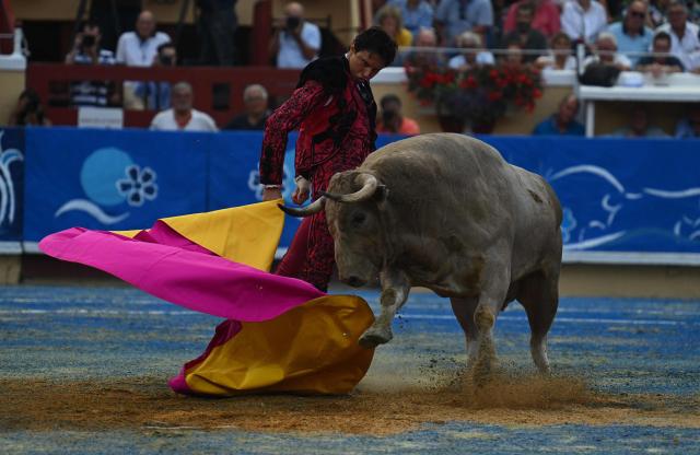 Peruvian matador Andres Roca Rey performs a pass on a Zacarias-Moreno bull at the Marcel-Dangou arena in Bayonne, southwestern France, on September 4, 2026. (Photo by Gaizka IROZ / AFP)