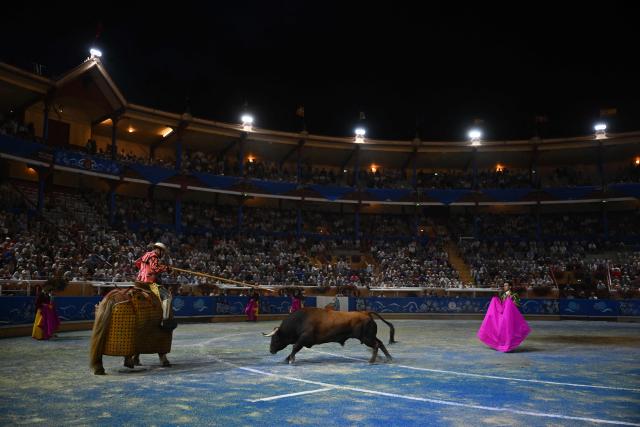 A Zacarias-Moreno bull fights a picador during a bullfight at the Marcel-Dangou arena in Bayonne, southwestern France, on September 4, 2026. (Photo by Gaizka IROZ / AFP)