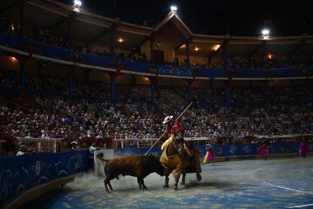 A Zacarias-Moreno bull fights a picador during a bullfight at the Marcel-Dangou arena in Bayonne, southwestern France, on September 4, 2026. (Photo by Gaizka IROZ / AFP)
