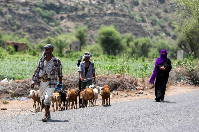 A Yemeni woman carries a baby goat as she walks along a road with a shepherd in the area where Internally displaced (IDP) Yemenis are fleeing to due to renewed clashes between Yemen's Saudi-backed government forces and the country's Houthi rebels, in the al-Kadah area of the Taiz Governorate, southwestern Yemen on September 6, 2026. Fighting between Yemeni government forces and Iran-backed Houthi rebels in southwest Yemen killed more than 140 combatants between midday September 5 and September 6, military sources said. Days-long clashes have erupted in Yemen over control of a gateway to the Red Sea in the deadliest fighting in the Arabian Peninsula country since a 2022 ceasefire between the two sides collapsed in July. (Photo by AHMAD AL-BASHA / AFP)
